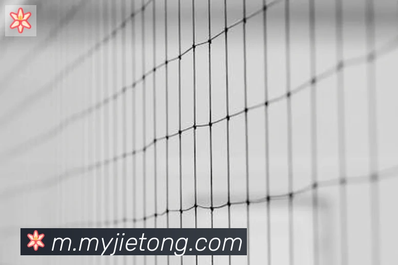 乐语网页版登录入口荣誉